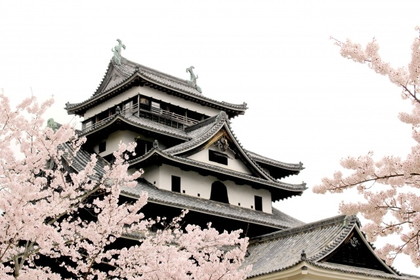 桜と松江城