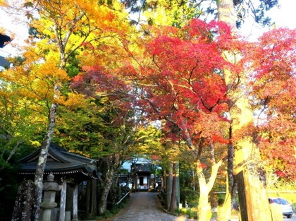 Autumn In Japan Autumn Leaves Of Hakone おはようトラベル