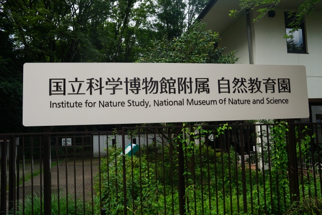 附属自然教育園