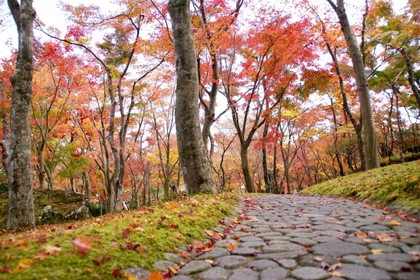 函館トラピスチヌ修道院