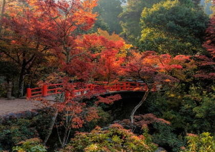 宮島紅葉谷公園の紅葉